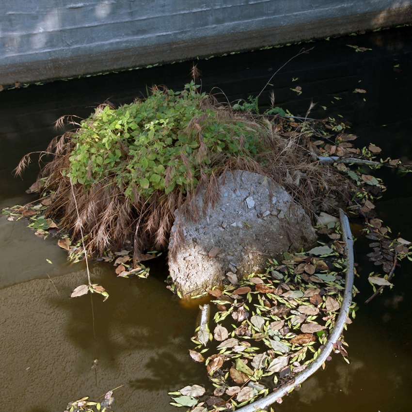 Politics of Space: Where I End And You Begin