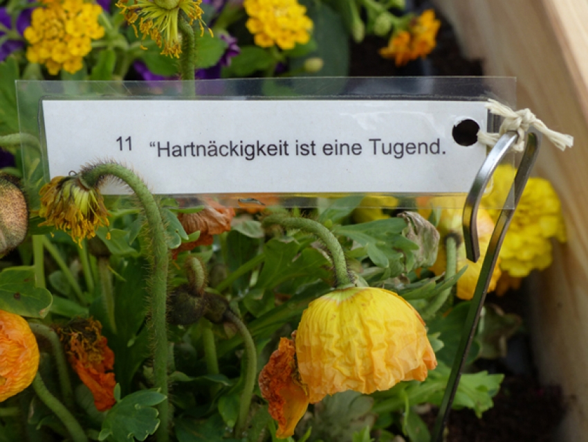 The Philologist's Garden