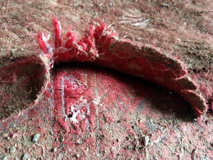 Οικείο-Οικείν