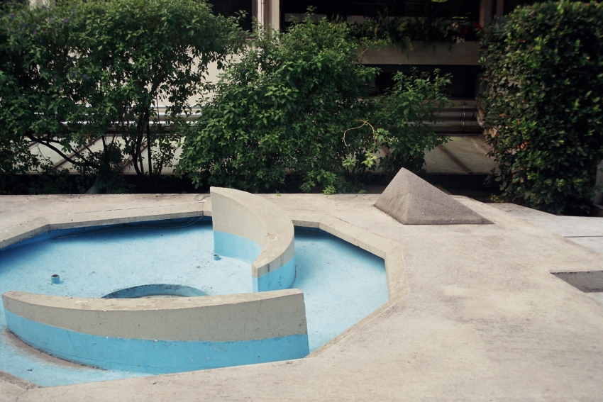 Systems, Organisms, Symbiosis