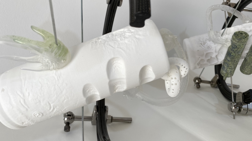 Η αναβίωση των λίθων