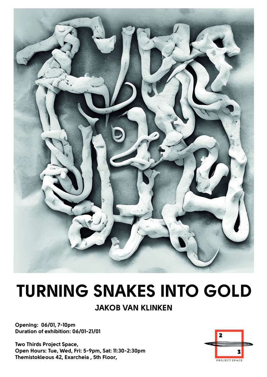 TURNING SNAKES INTO GOLD