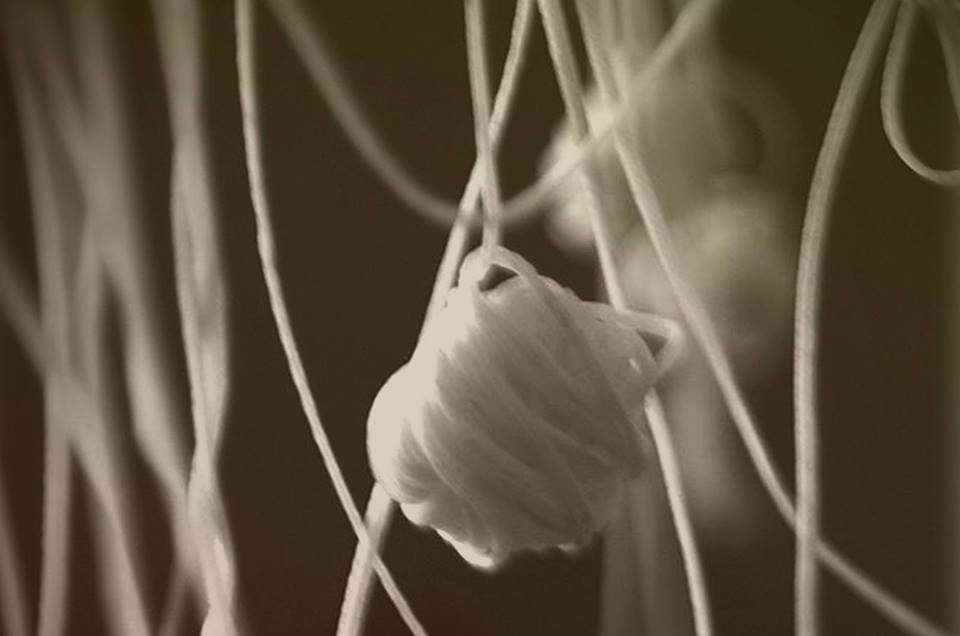 Life: Repetition and Overturn