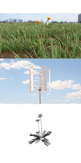 Here and Now: Entro-pic