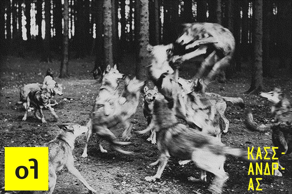 open form #2 | Kassandras Tour