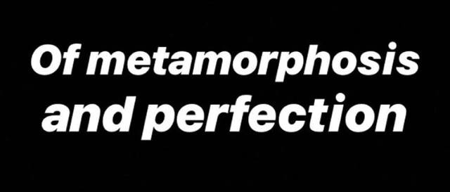 Salotto II (Readings)