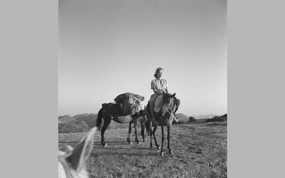 Joan Leigh Fermor: Artist and Lover