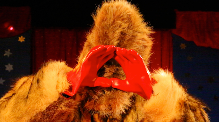 Circuses and Taxidermists