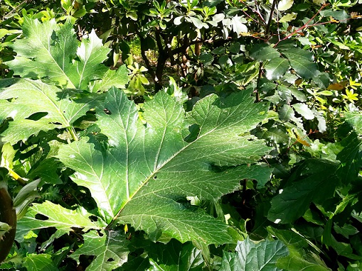 The Same Party - Workshops