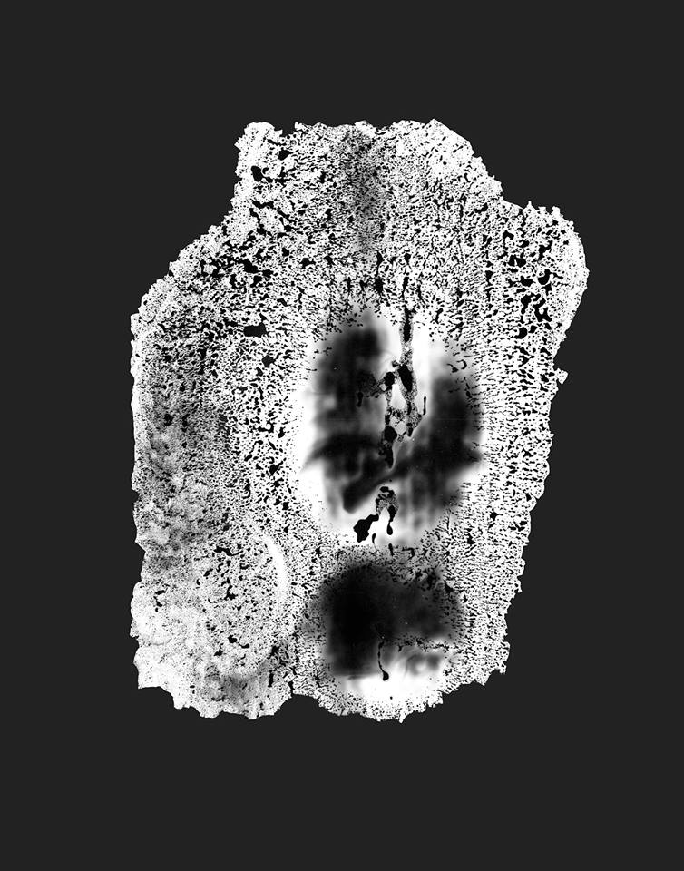 A Proposition of Organisms