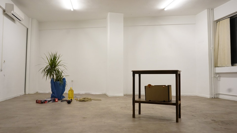 A Conversation with Macklin Kowal