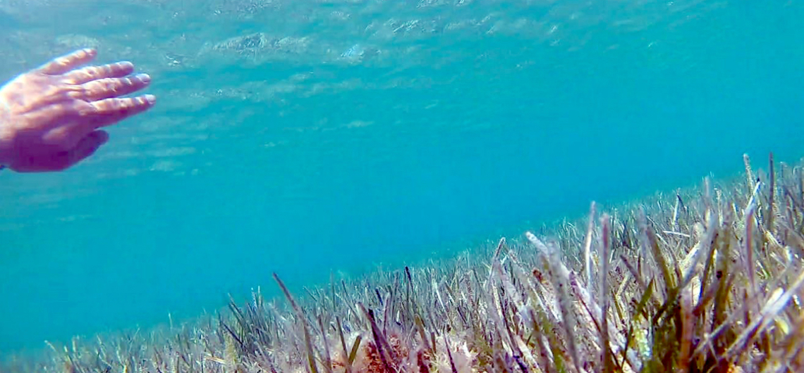 The Same River Twice