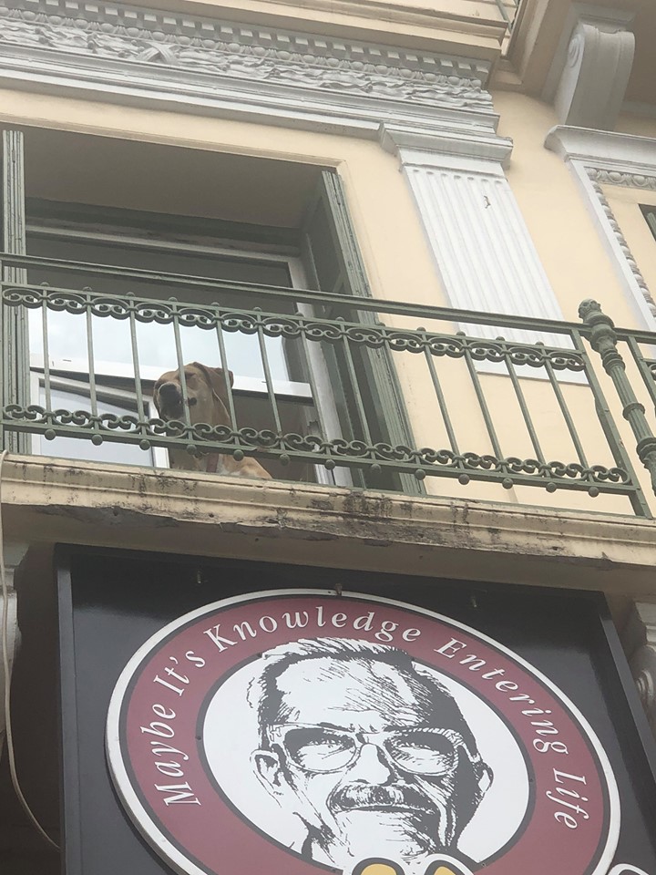 Maybe It’s Knowledge Entering Life