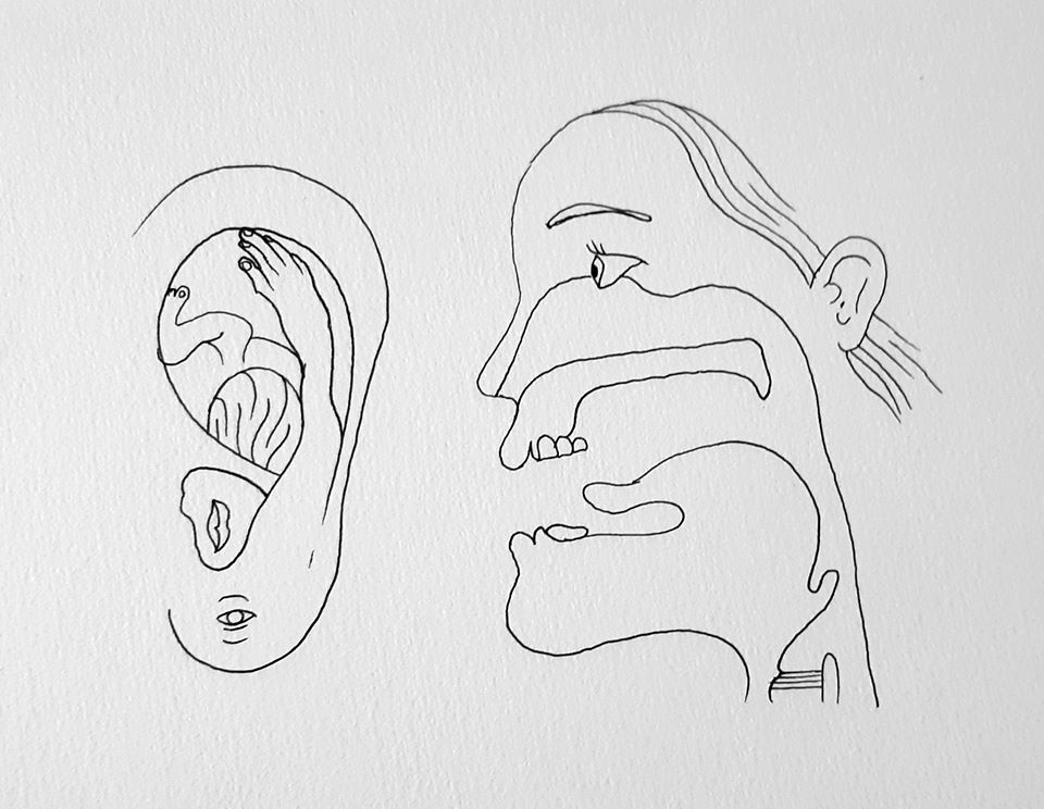 The Critical Flicker Frequency