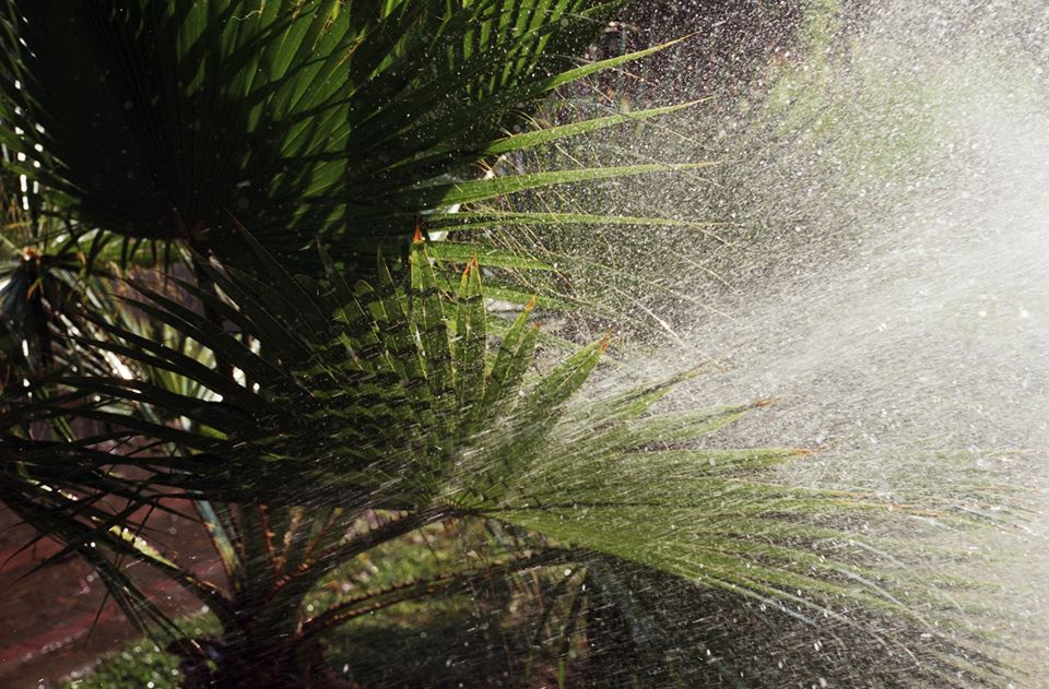 Unlikely Outcomes: An Improvision