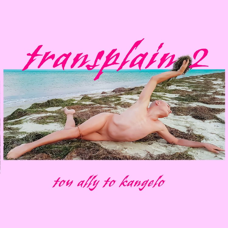 Transplain 2, tou ally to kangelo: performance by Lia Smaragda