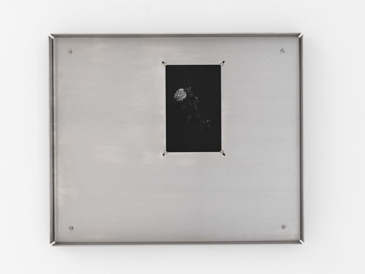 Joanna Piotrowska & Formafantasma