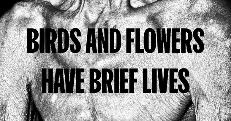 BIRDS AND FLOWERS HAVE BRIEF LIVES