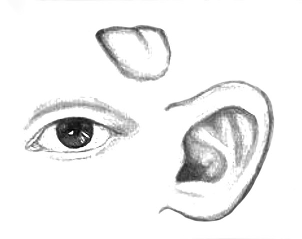 tongue gloves trick trees