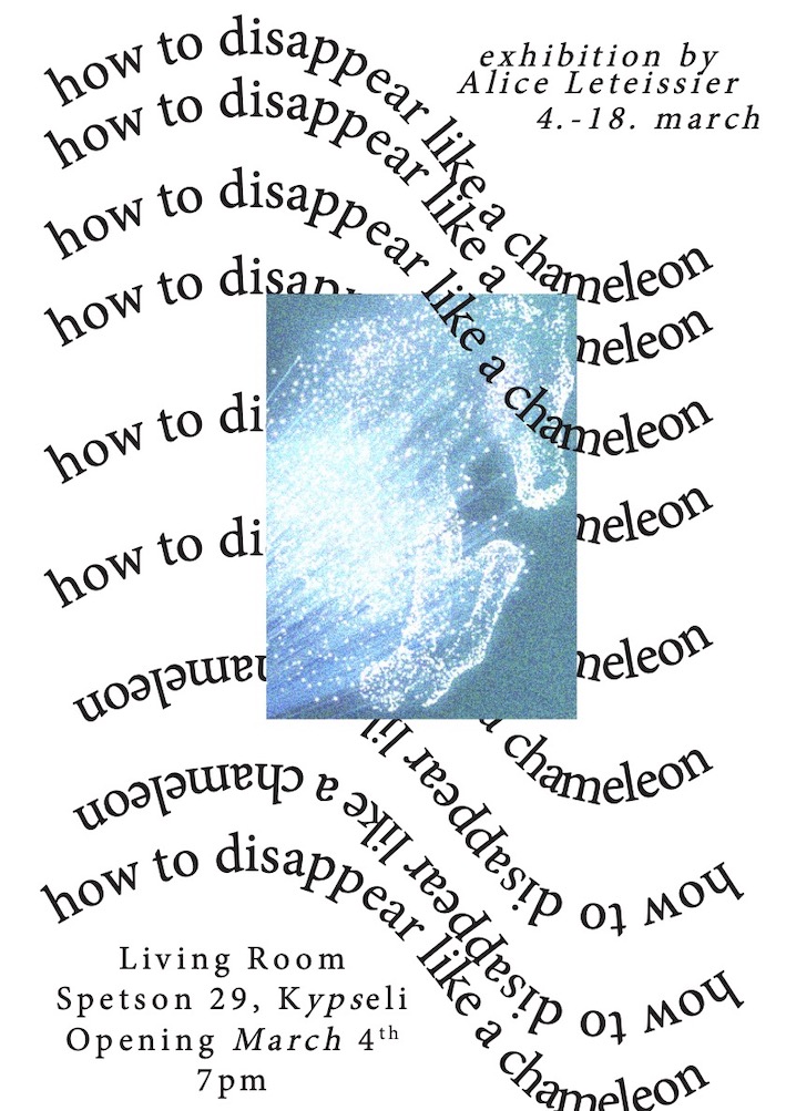 How to Disappear Like a Chameleon