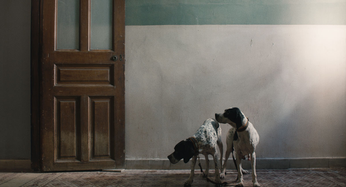 Riddles for resilient tongues