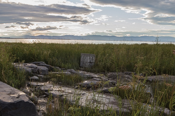 Μystery 166: State of Emergency