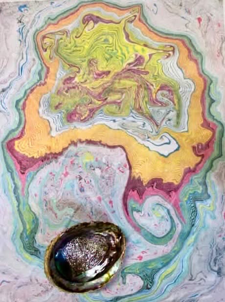 Salty crush X Elin T. Sørensen Abalone Rainbow Flag LGBTQ+LS (Lonely species)