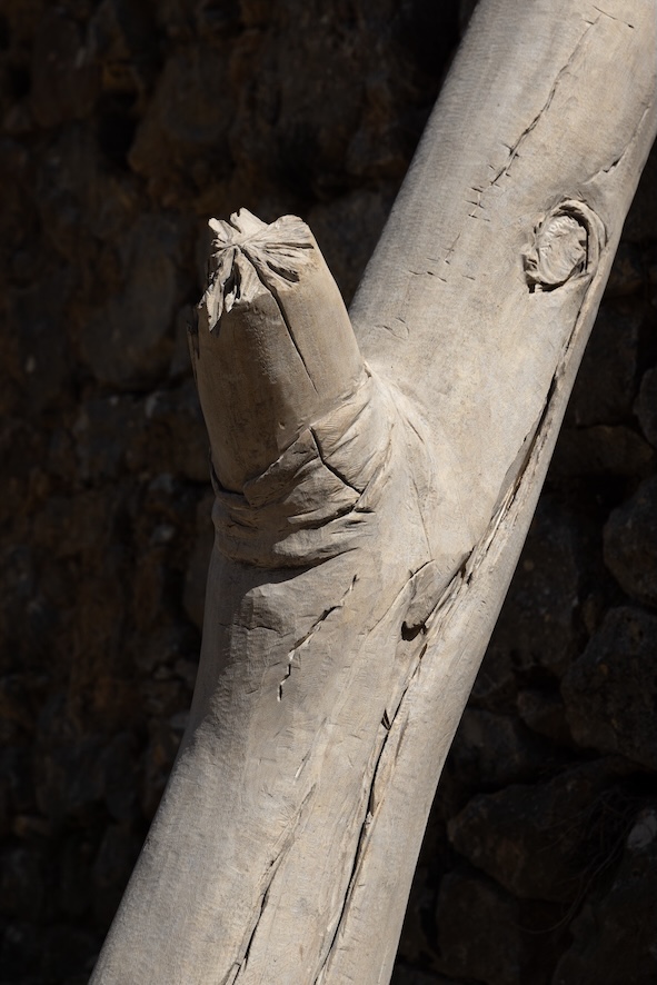 Accidental Monuments