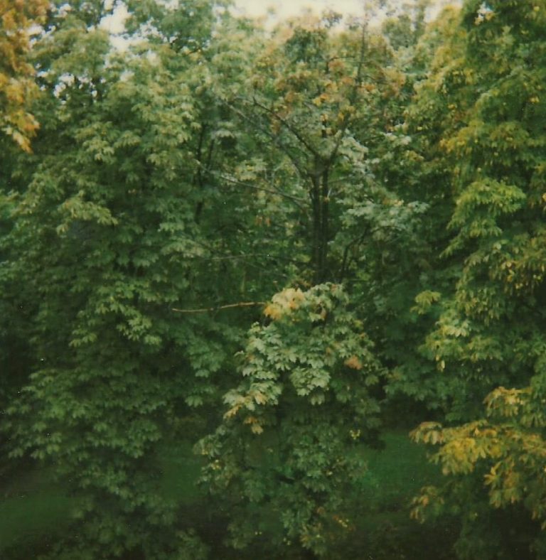 Melting snow as if in a room