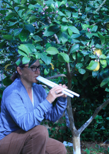 The birds and the lightworkers backstage are singing together