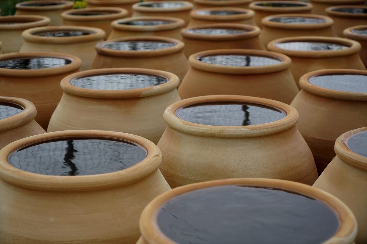 Upon the Earth Under the Clouds || Elefsina