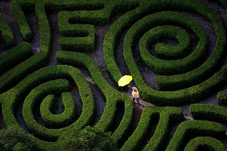 Fine Art - Photography Exhibition